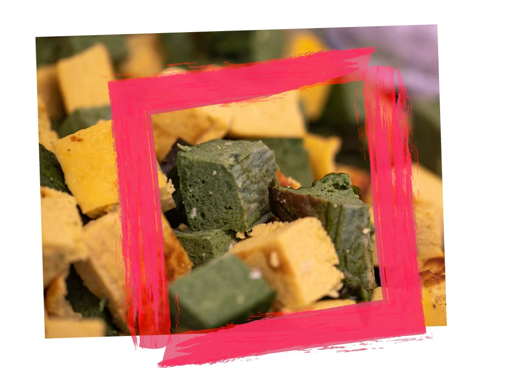 patrunet-img_inaugurazione-11